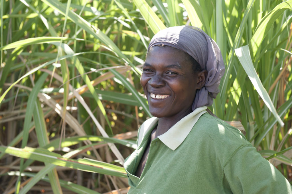 produttori di zucchero fairtrade