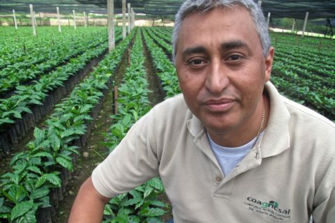 Coagricsal - Cooperativa Agrícola Cafetalera San Antonio