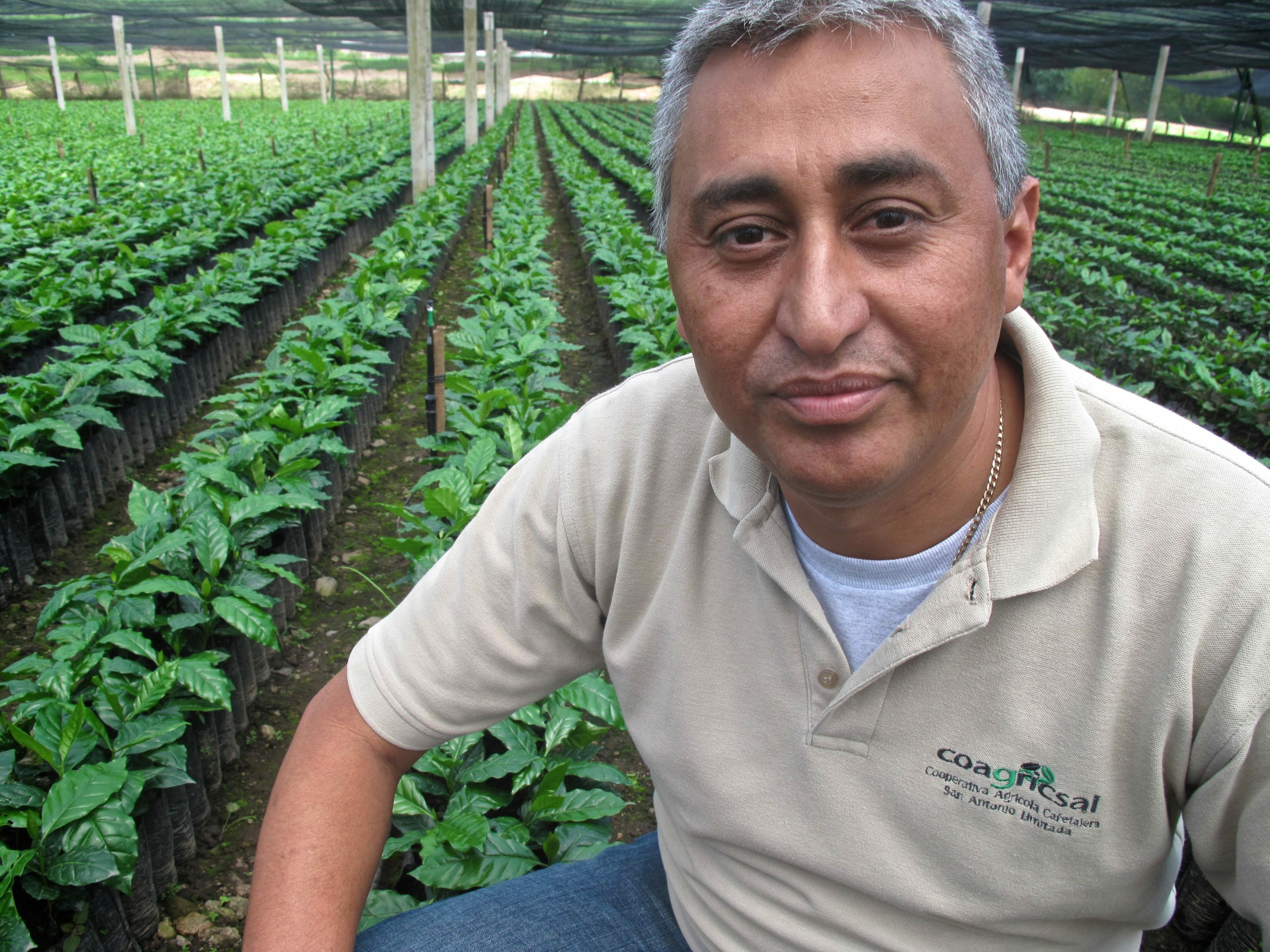 Coagricsal Honduras