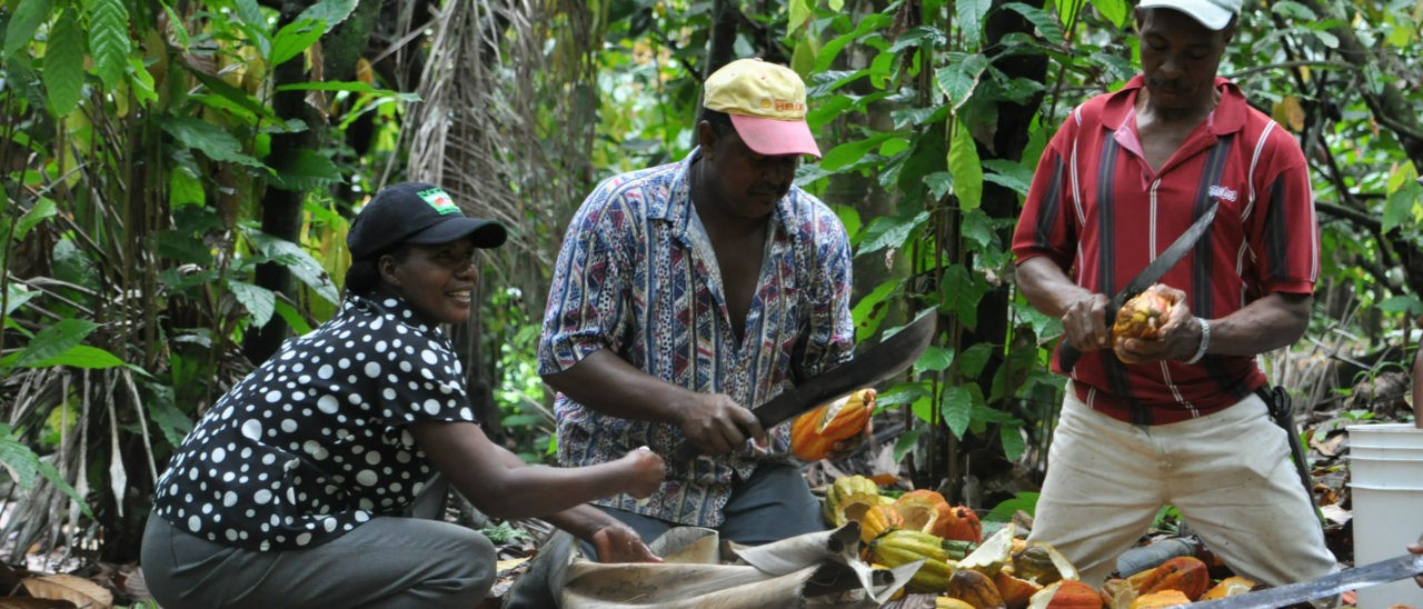 Conacado Fairtrade