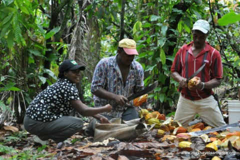 Conacado Fairtrade