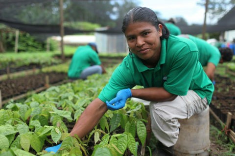 APPTA Asociación de Pequeños Productores de Talamanca