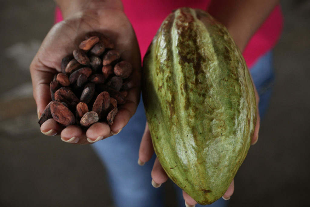 Produttori di cacao