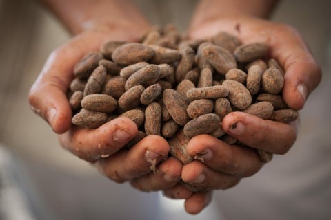 Asociacion de Productores Cacao Alto Huallaga