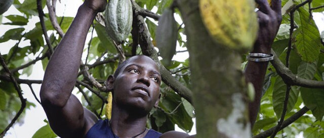 Il cacao sostenibile di Conacado