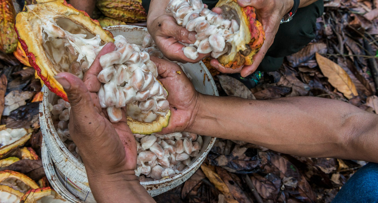 Acopagro, Perù