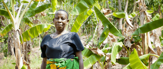 Interventi efficaci per abbattere la disuguaglianza: il sesto pilastro di Fairtrade