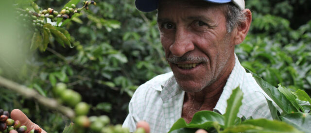 “Pura vida” al Costa Rica, anche grazie a Fairtrade