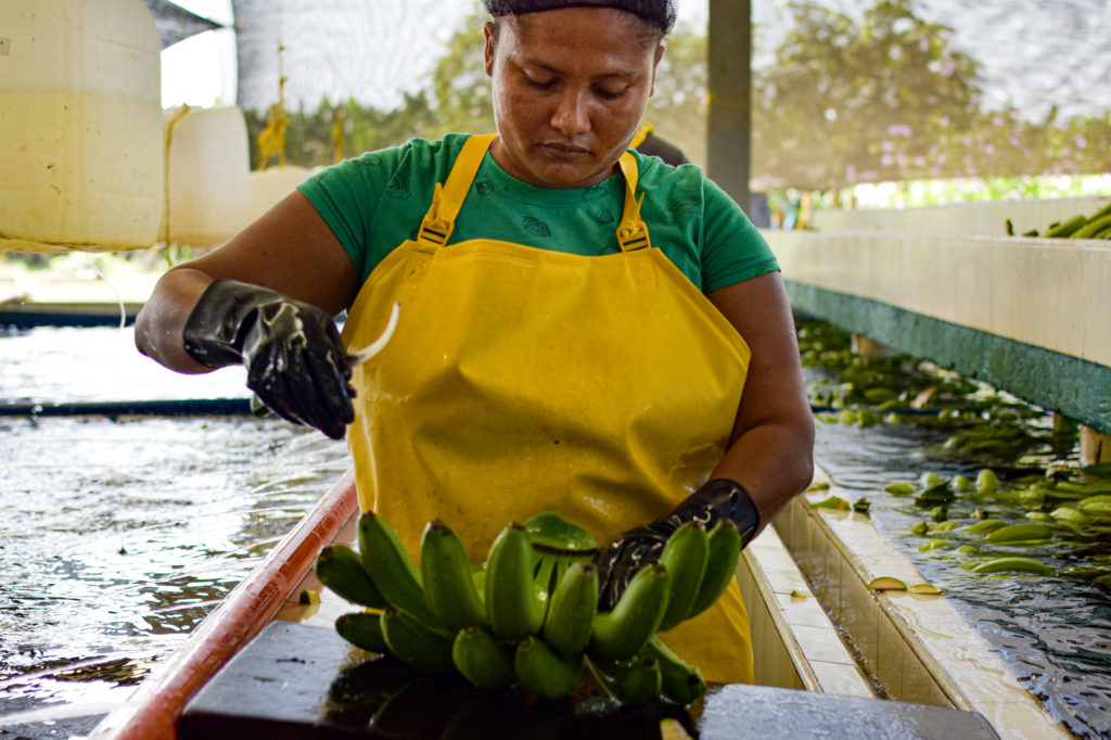 Yuris Murieles, lavoratrice a Finca California