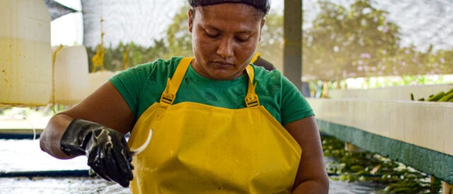 Progressi verso un salario dignitoso in Colombia