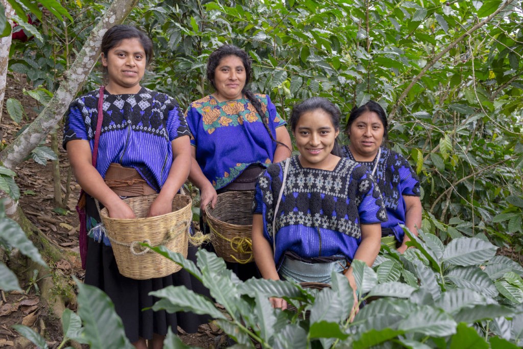 Cooperativa de producion Tzetzal Tzotzil (Messico)