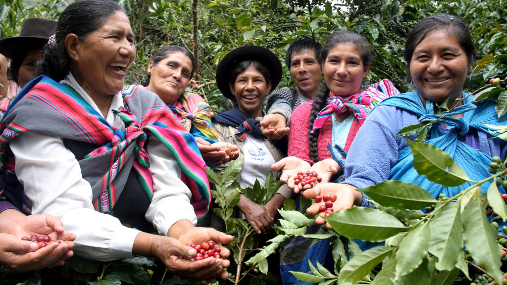 Cooperativa Agraria Cafetalera Valle de Incahuasi, Peru