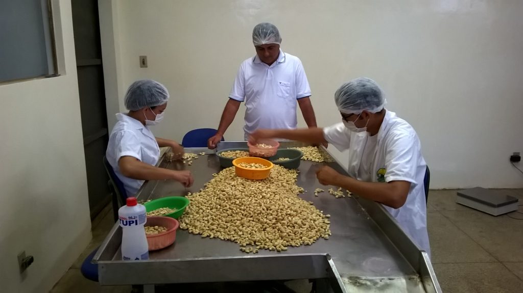 Laboratorio per la lavorazione degli anacardi