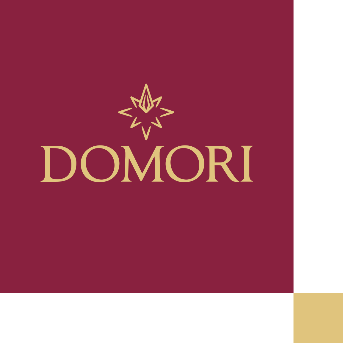 Domori srl