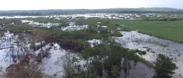Il cambiamento climatico colpisce il Belize