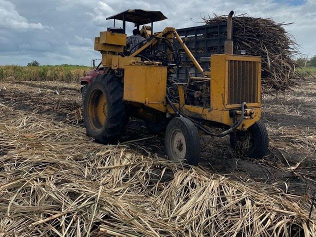 Le macchine rimuovono la canna danneggiata dall'alluvione