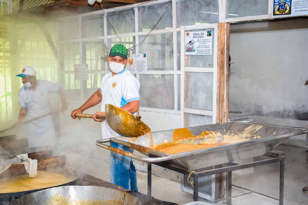 Lavorazione della canna da zucchero per ottenere la panela