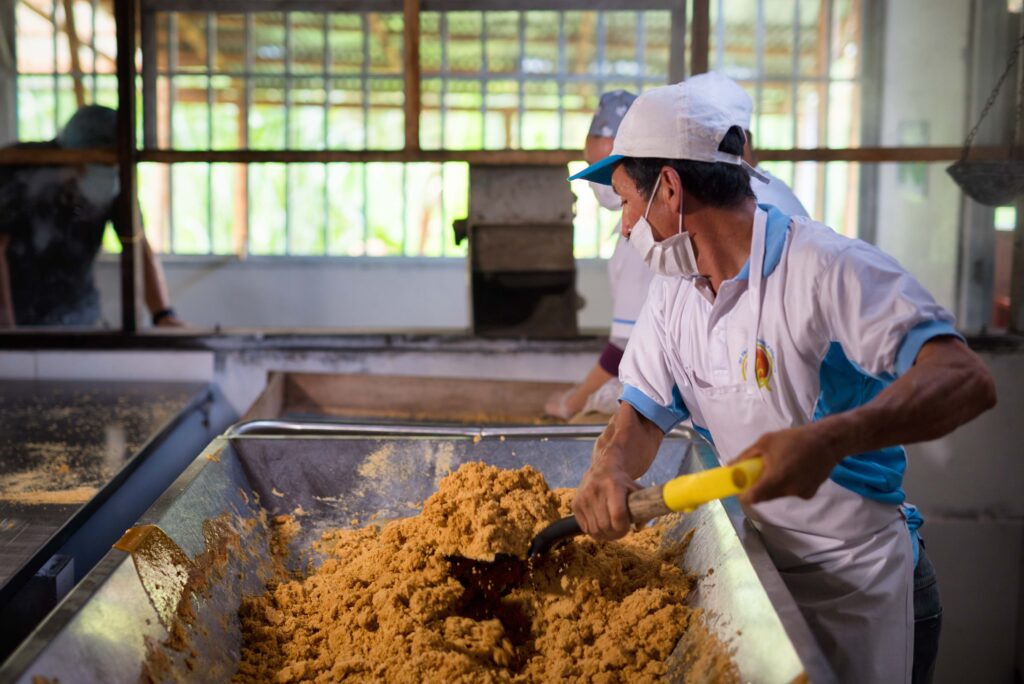 Sgranatura della panela, dopo la bollitura del succo estratto dalla canna