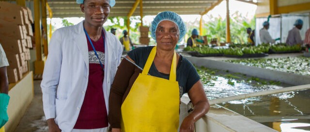 Salario dignitoso per i bananeros, parte la consultazione