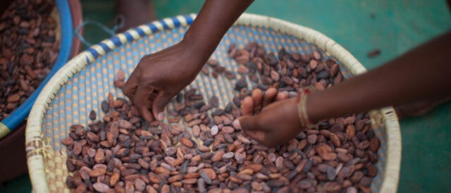 Chi pagherà per mettere fine al lavoro minorile in Africa Occidentale?
