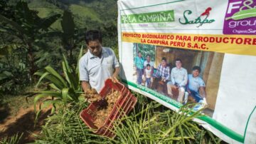 (Almeno) tre motivi per scegliere lo zenzero Fairtrade del Perù