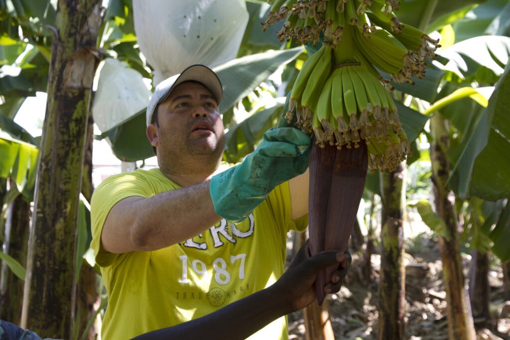 Carlos Pascal di Asobacas (Repubblica Dominicana). Il Premio Fairtrade ha aiutato la cooperativa a ottenere la certificazione del biologico.