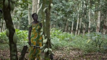 I produttori di cacao dovrebbero guadagnare di più. E Fairtrade ha bisogno di voi