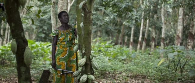 I produttori di cacao dovrebbero guadagnare di più. E Fairtrade ha bisogno di voi