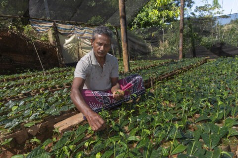 Sofa (Small organic farmers association)