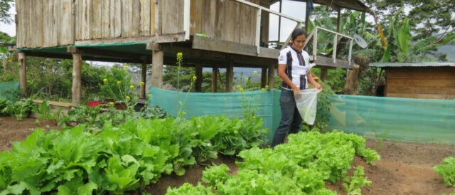 Covid-19: una lezione di sovranità alimentare