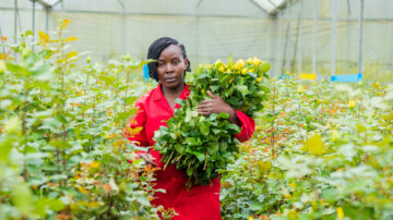 San Valentino: i fiori Fairtrade siano sinonimo di parità di genere