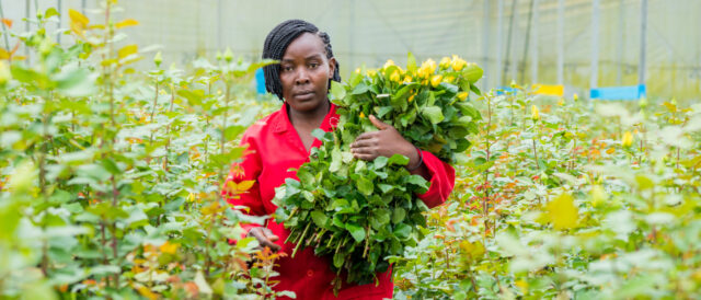 San Valentino: i fiori Fairtrade siano sinonimo di parità di genere