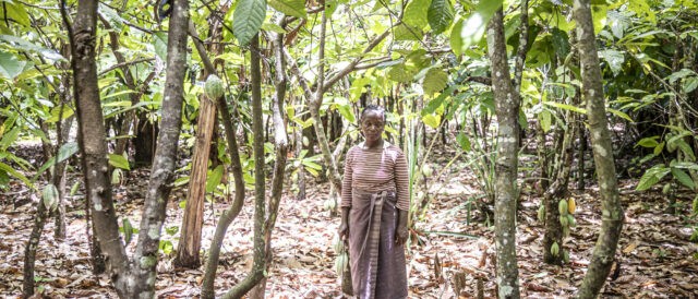 La proposta legislativa sulla deforestazione deve mettere al centro i piccoli agricoltori