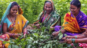 Droupadi e Manita, le donne del Fairtrade