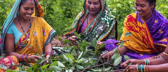 Droupadi e Manita, le donne del Fairtrade