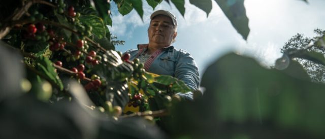 Fairtrade favorisce la sostenibilità delle organizzazioni