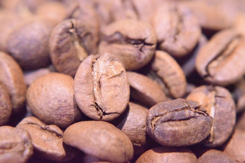 Fairtrade porta più di 50 caffè da 15 paesi nel mondo al “World of coffee”