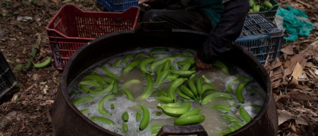 Nuovi prezzi minimi per le banane Fairtrade