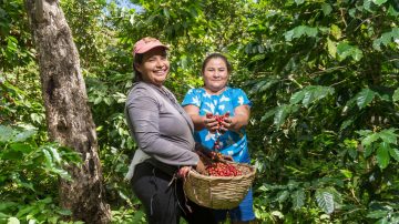 Fairtrade International: è uscito il nuovo rapporto annuale