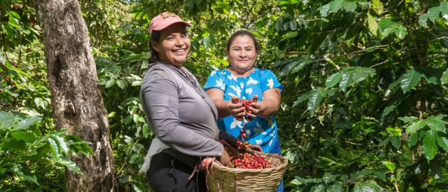 Fairtrade International: è uscito il nuovo rapporto annuale