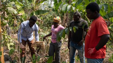 Agroforestazione dinamica: un progetto di resilienza climatica in Ghana