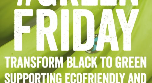 Green Friday: l'alternativa per un Black Friday più sostenibile