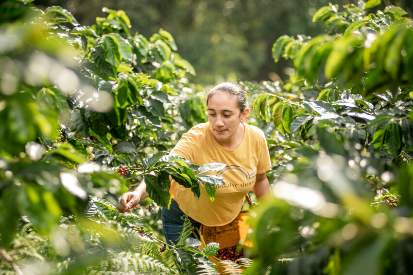 Ely Solano, produttrice di caffè certificato Fairtrade in Colombia