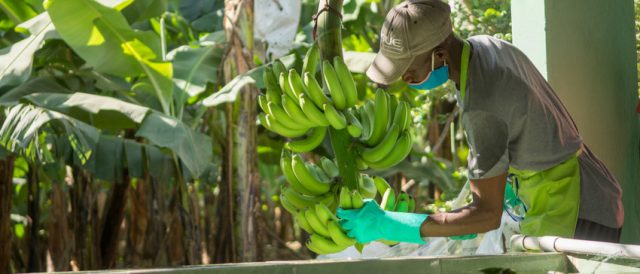 Il lavoro di Fairtrade ai tempi dell’inflazione