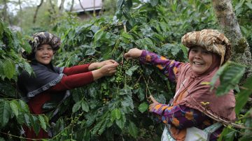 Giornata Mondiale del Fair Trade per un futuro più giusto e sostenibile