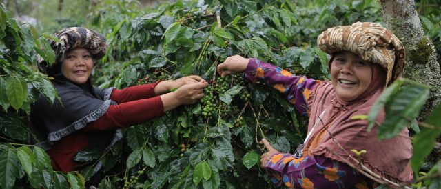 Giornata Mondiale del Fair Trade per un futuro più giusto e sostenibile