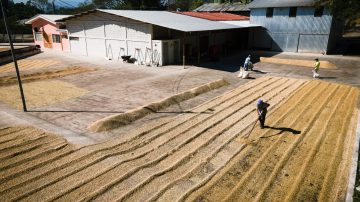 Giustizia climatica: cos'è e perché è importante per un futuro sostenibile