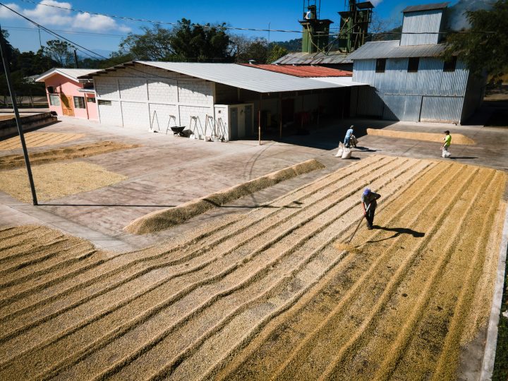 Giustizia climatica: cos'è e perché è importante per un futuro sostenibile