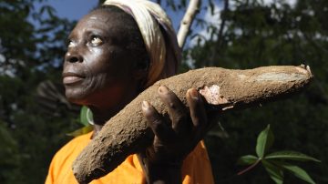 Che cos'è la Food Security: la sicurezza alimentare per un futuro sostenibile
