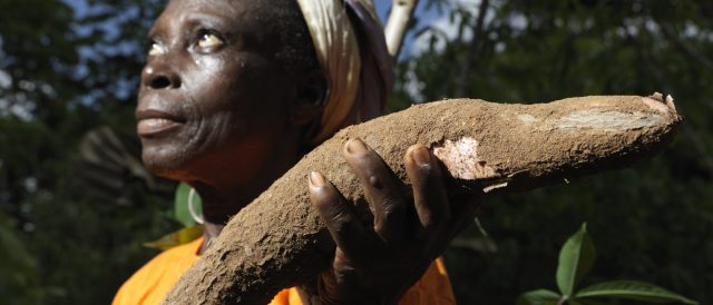 Che cos'è la Food Security: la sicurezza alimentare per un futuro sostenibile